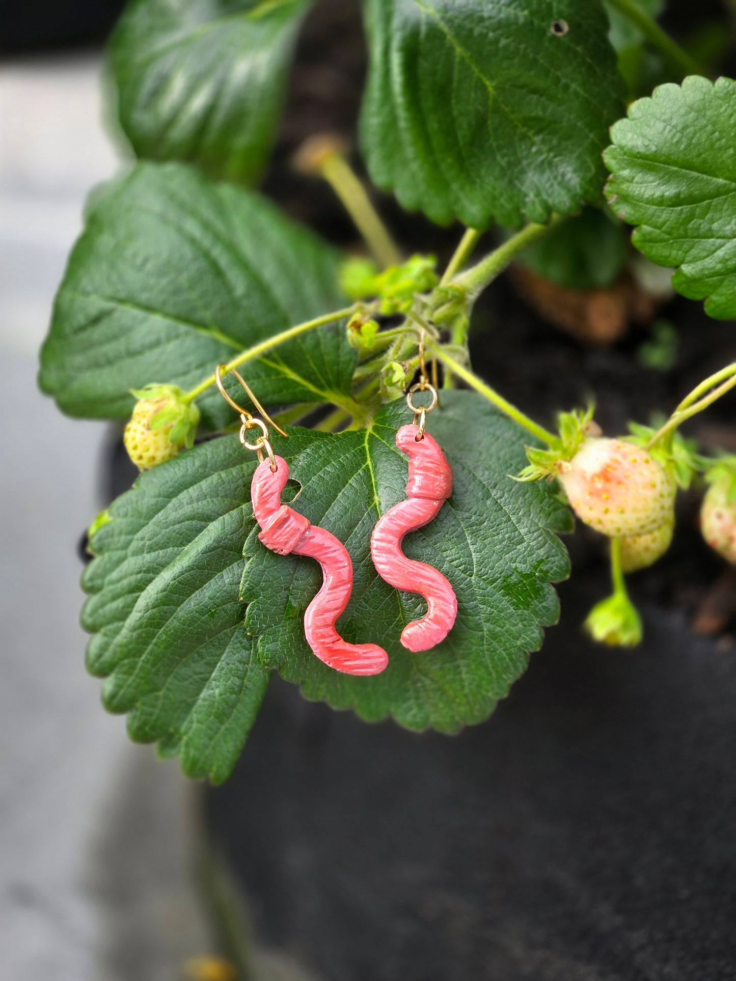 Earth Worms